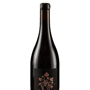 DIKA 2023 - IGT VERONA ROSATO CORVINA