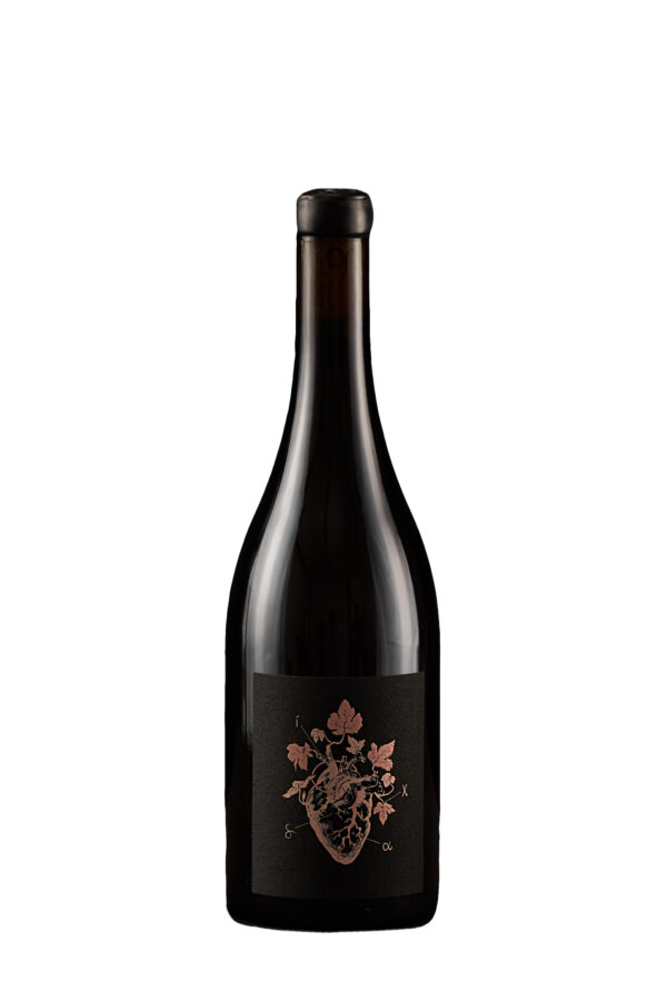DIKA 2023 - IGT VERONA ROSATO CORVINA