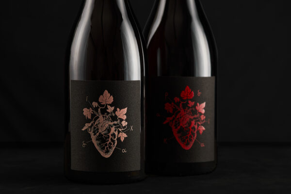 DIKA 2023 - IGT VERONA ROSATO CORVINA - immagine 5