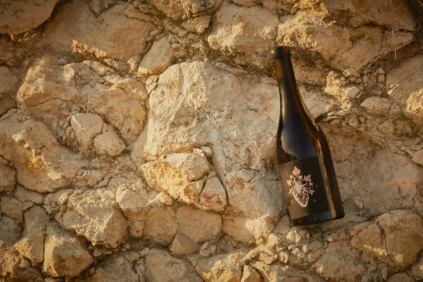 DIKA 2023 - IGT VERONA ROSATO CORVINA - immagine 4