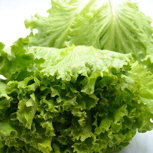 Insalata Gentile