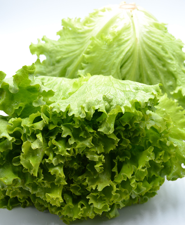 Insalata Gentile