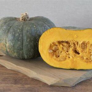 Zucca delica
