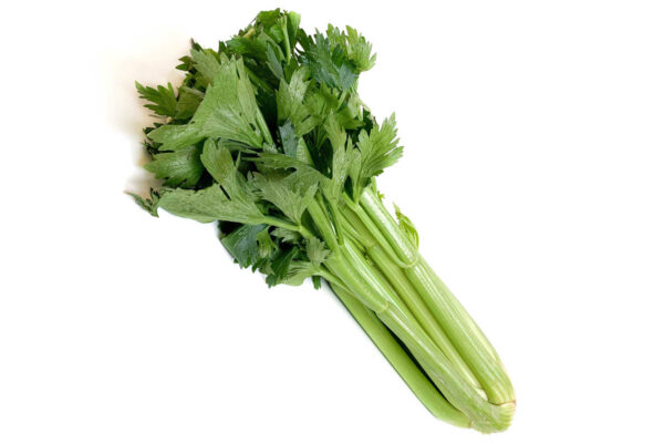 Sedano