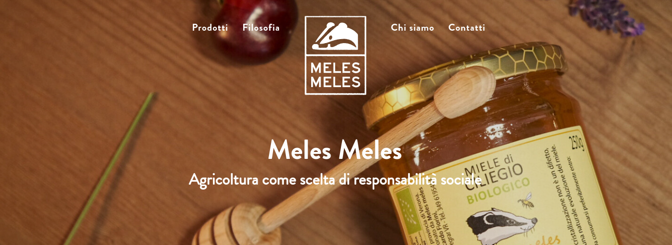 Meles Meles