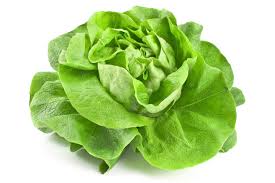 Insalata Lattuga