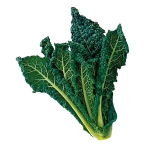Cavolo nero
