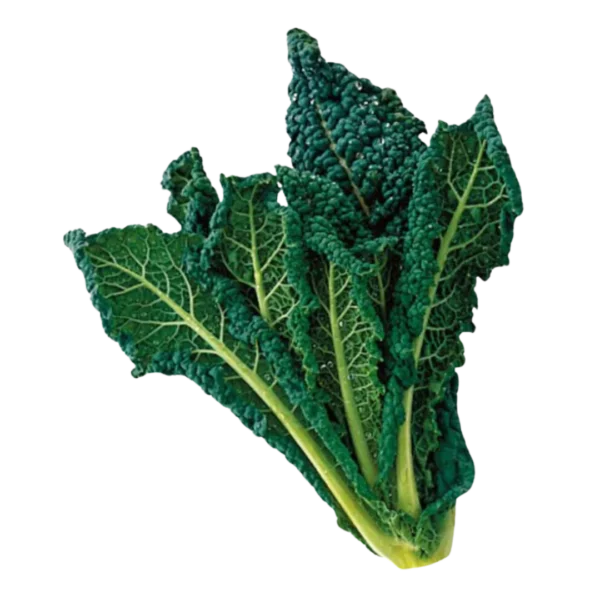 Cavolo nero