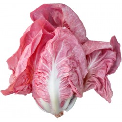 Radicchio a cuore rosato