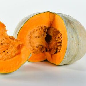 Zucca Vanity