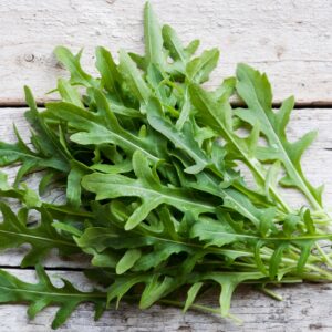Rucola