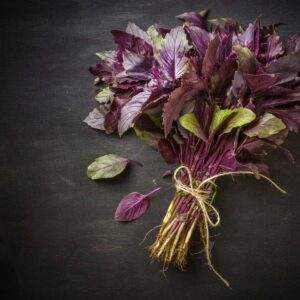 basilico rosso a mazzetto
