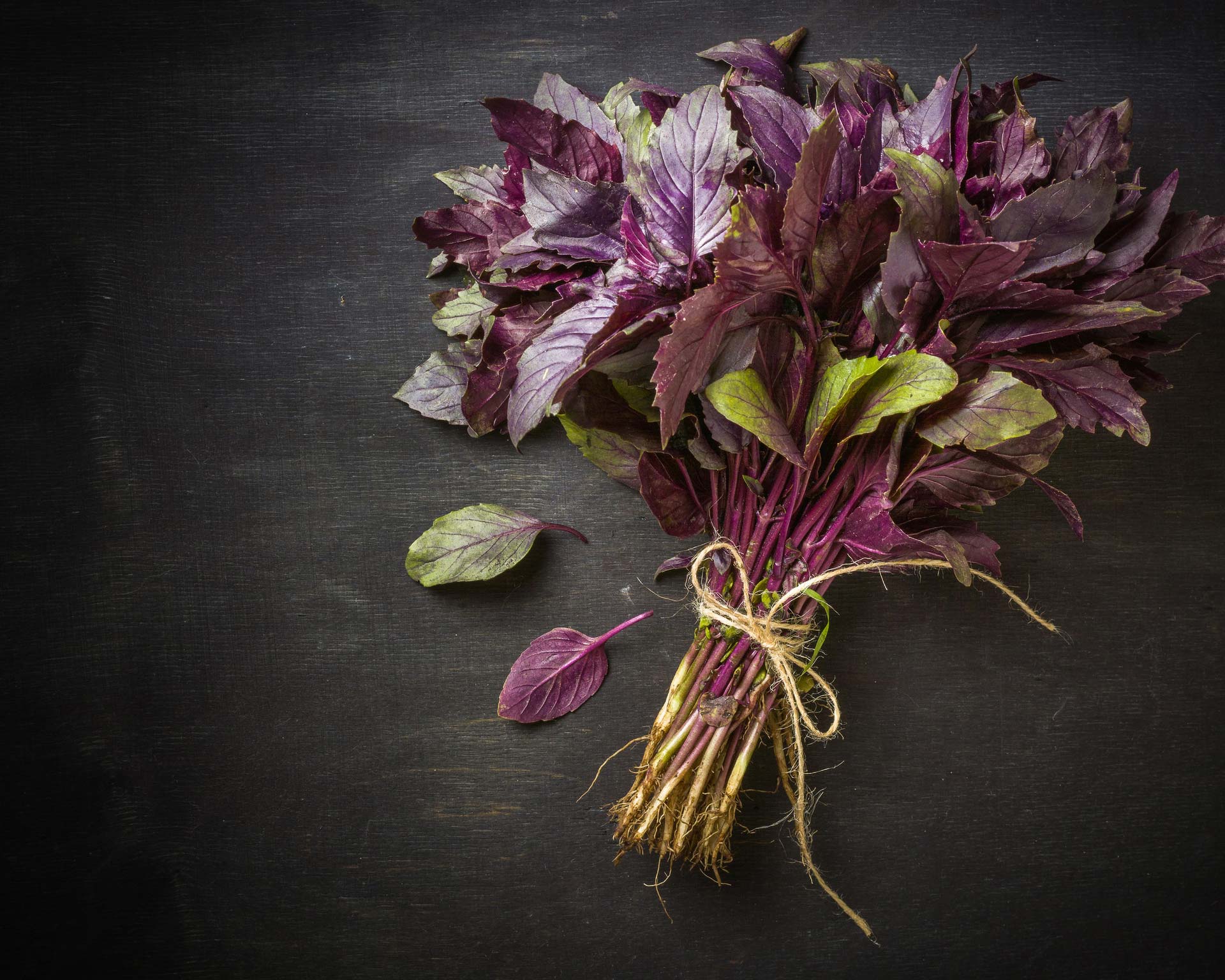 basilico rosso a mazzetto