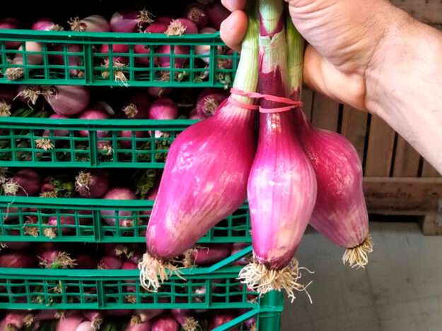 cipolla rossa tonda, dolce