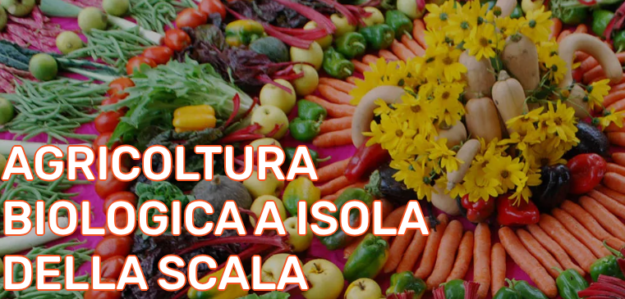 SOCIETÀ COOPERATIVA AGRICOLA CA' MAGRE