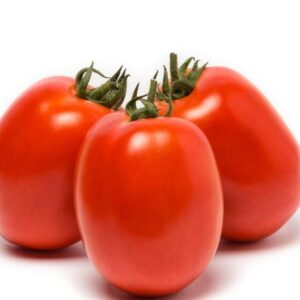 pomodoro da salsa