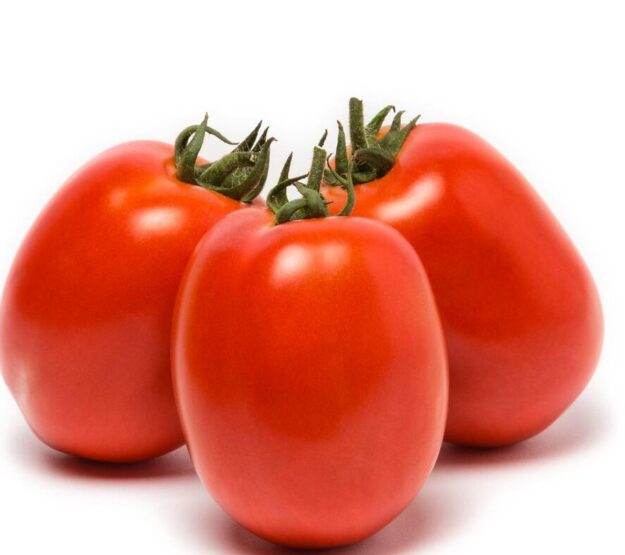 pomodoro da salsa