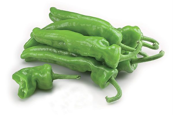 peperone friggitello