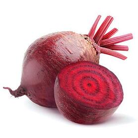 rapa rossa