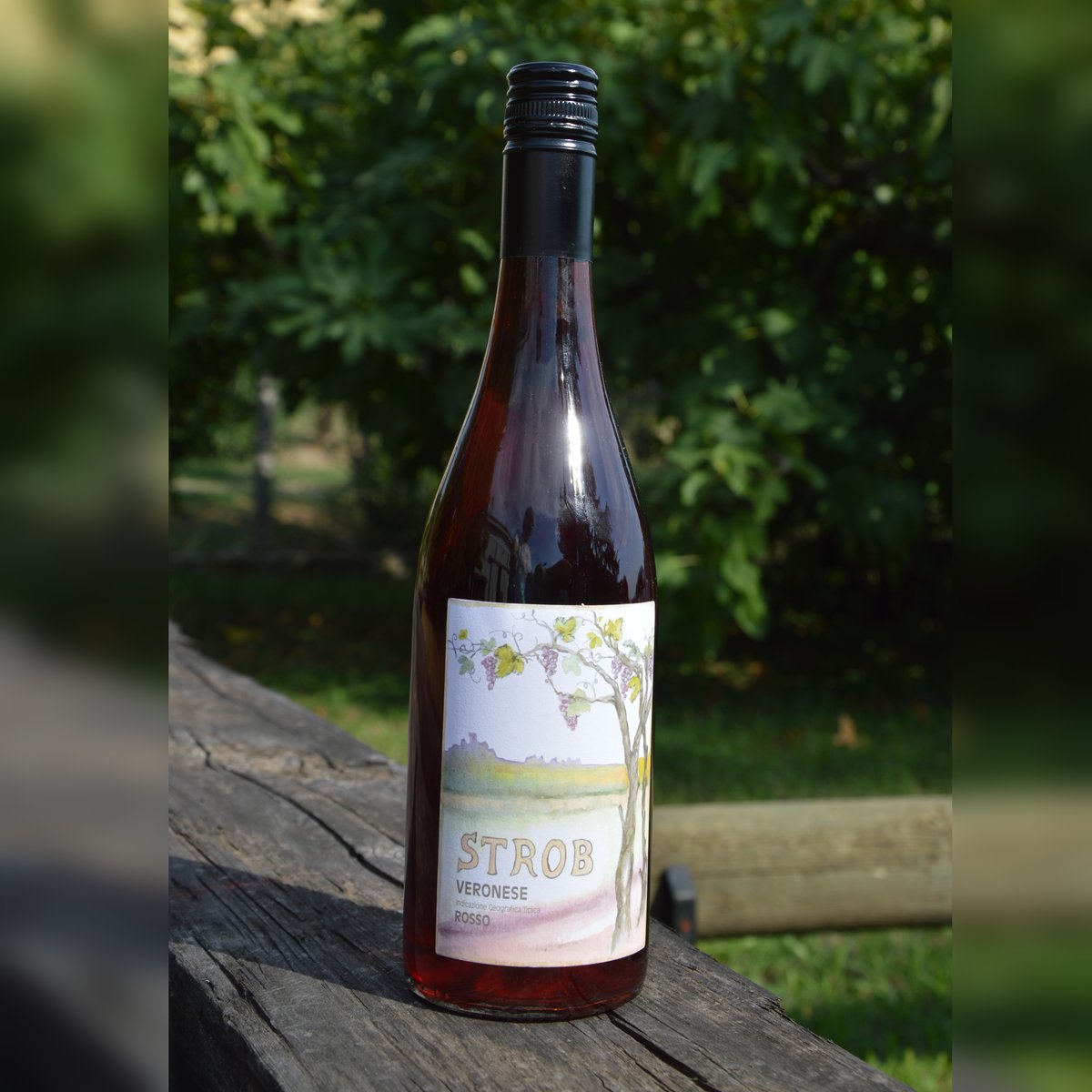 Vino Strob
