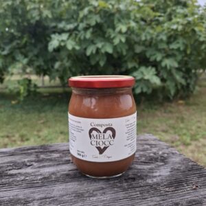 Composta di Mele e Cioccolato "MELACIOCC"