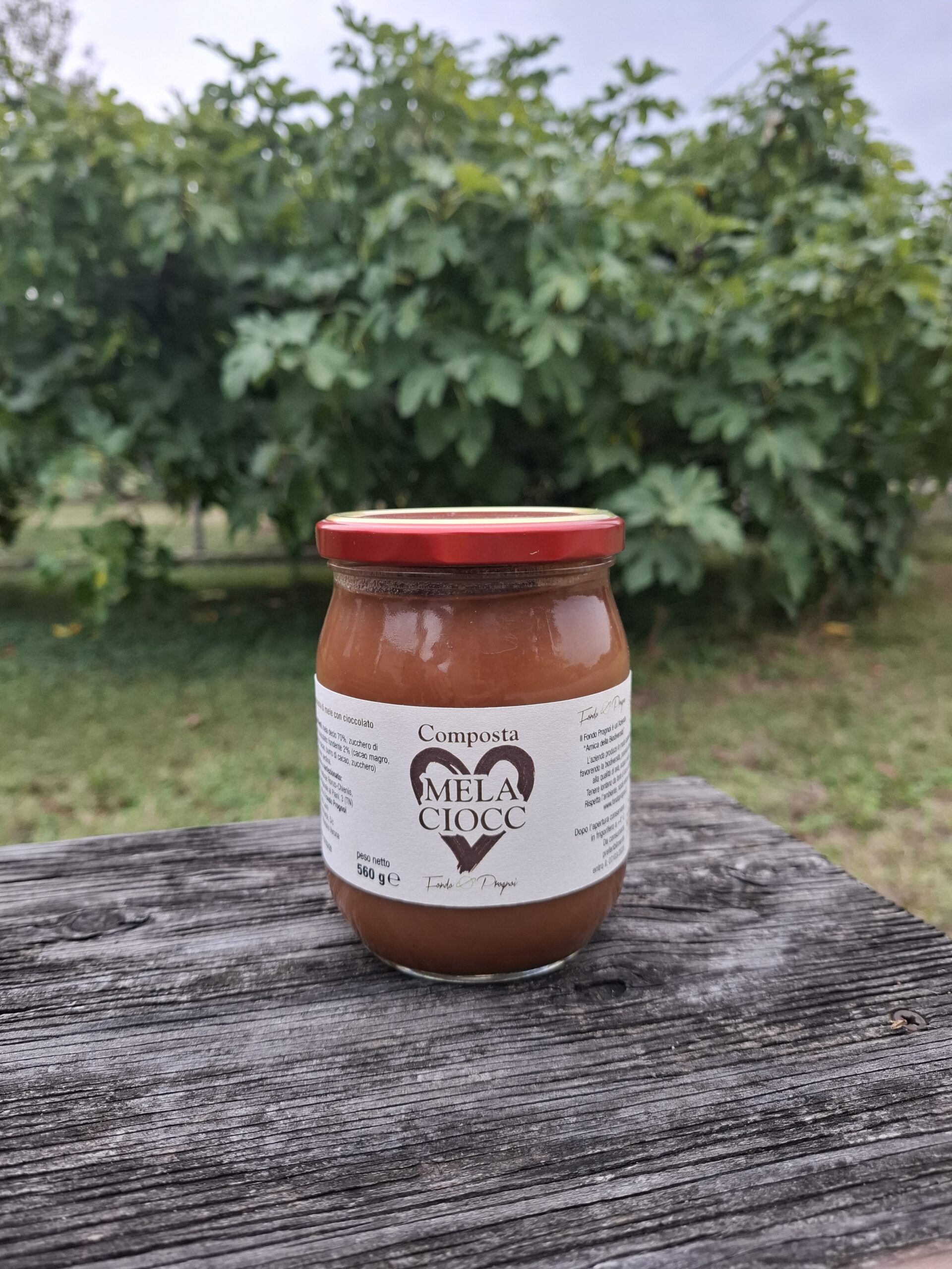 Composta di Mele e Cioccolato "MELACIOCC"