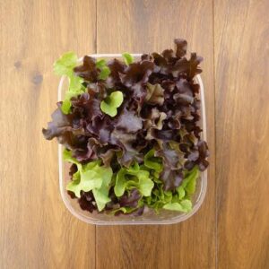 insalata da taglio in vaschetta