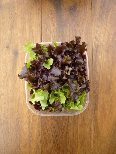 insalata da taglio in vaschetta