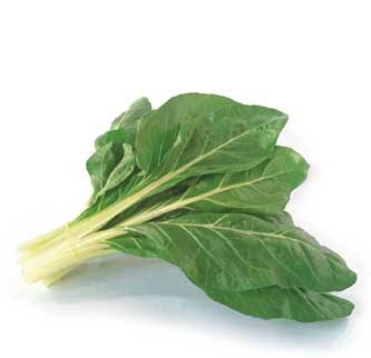 bieta verde a costa bianca
