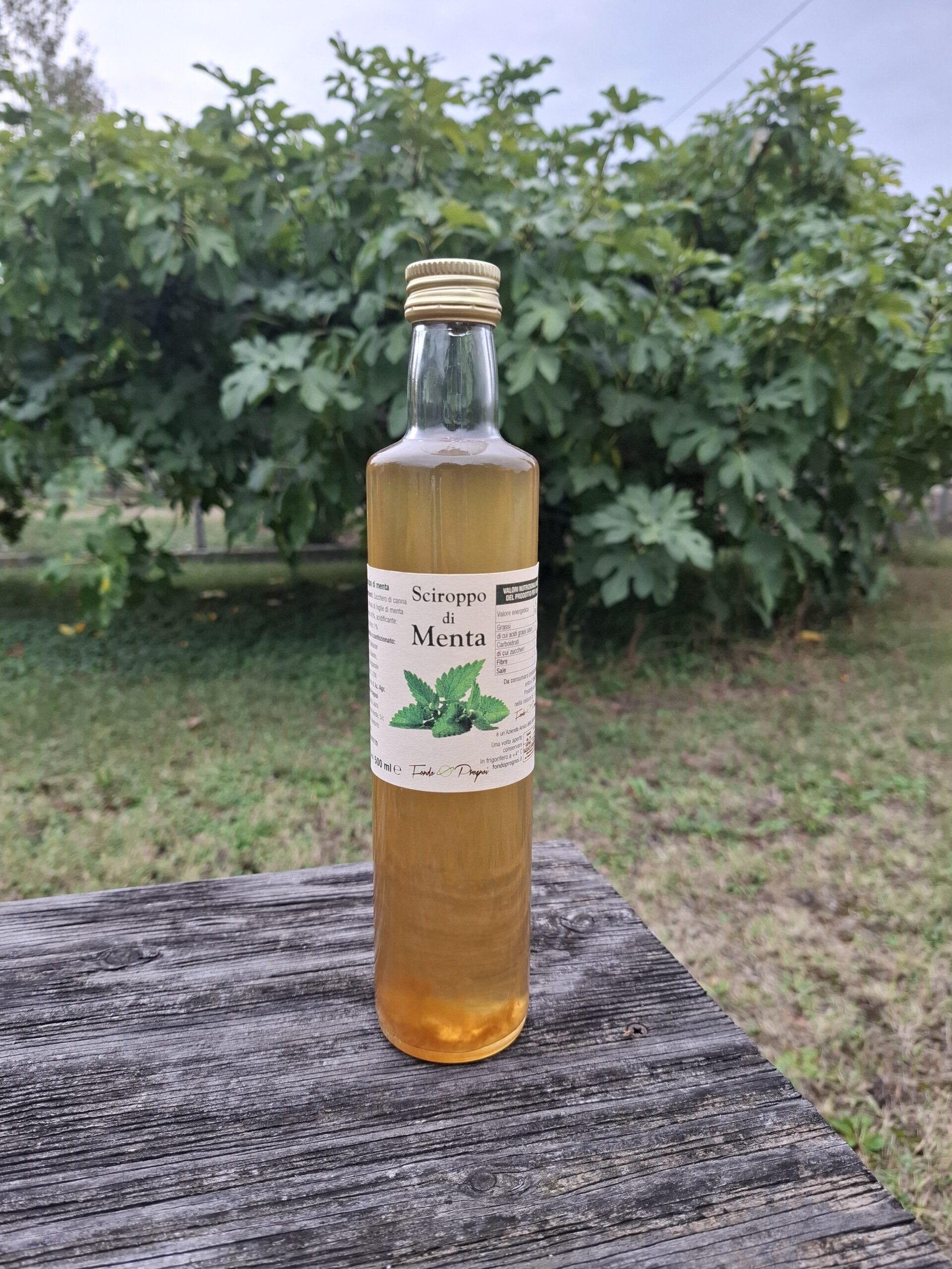 Sciroppo di Menta