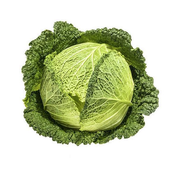 verza riccia