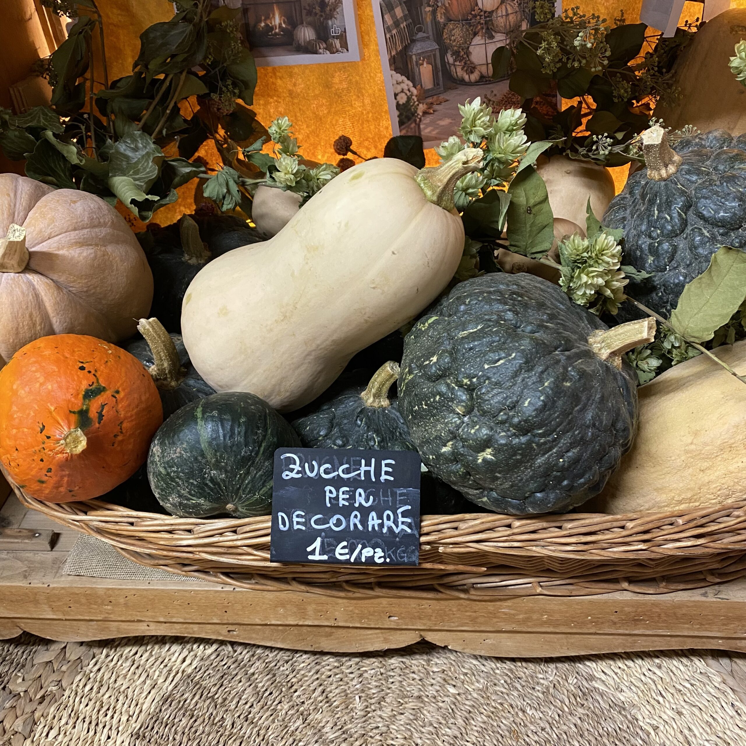 Zucche Ornamentali